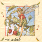 Flower Fairies 4-7