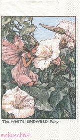 Flower Fairies GT 04