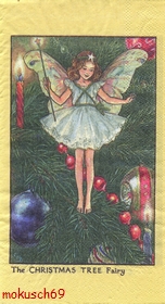 Flower Fairies GT 10