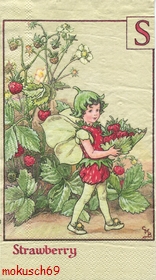 Flower Fairies GT 11