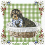 Hund 4-366
