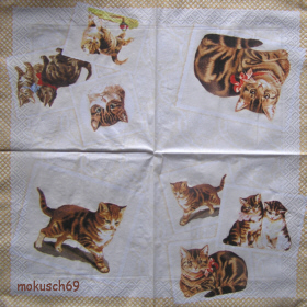 Katze 1-47