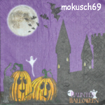 Katze 4-284