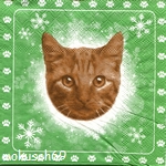 Katze 4-524 b CT