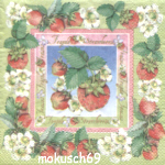 Obst 79 CT