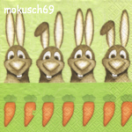 Hase 108