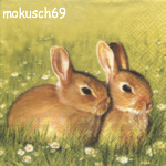 Hase 95