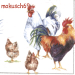 Huhn 73