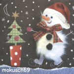 Schnee 4-489