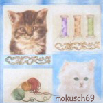 Suche Katze 11