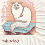 Suche Katze 34