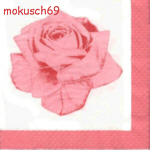 Suche Rose 43