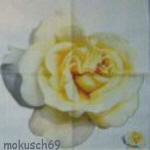 Suche Rose 53