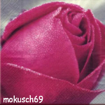 Suche Rose 61