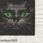 Suche Katze 114