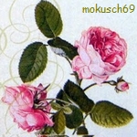 Suche Rose 63