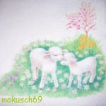Suche Schaf 41