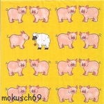 Suche Schaf 49
