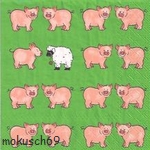 Suche Schaf 50