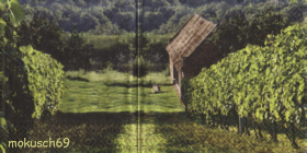 Traube 2-77